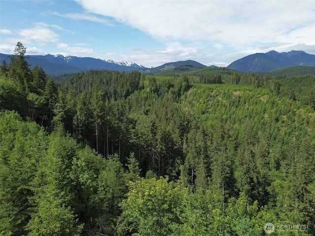 9999 Blue Mountain Rd, Port Angeles, WA 98362 - photo 4