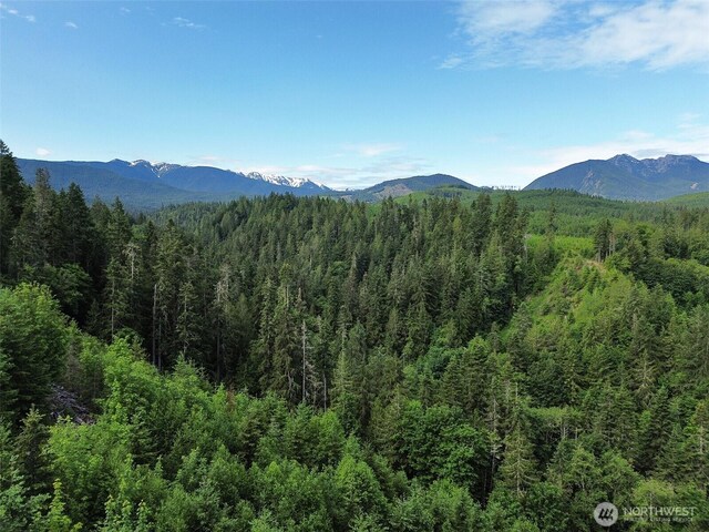 9999 Blue Mountain Rd, Port Angeles, WA 98362 - photo 5