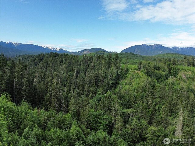 9999 Blue Mountain Rd, Port Angeles, WA 98362 - photo 6