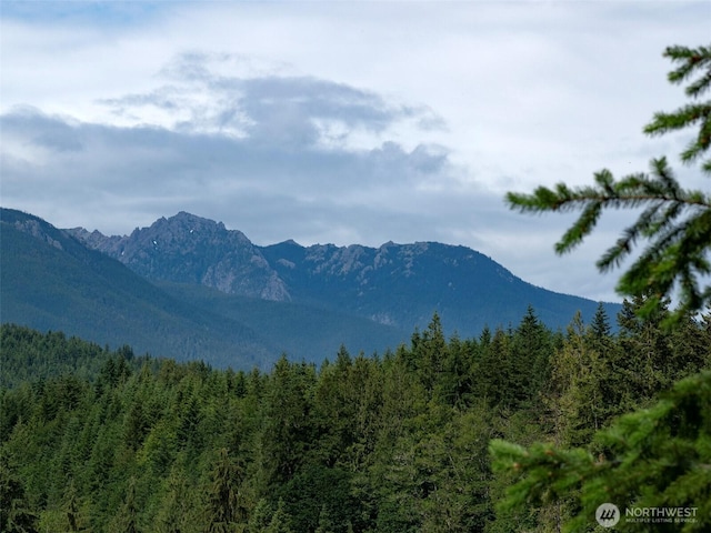 9999 Blue Mountain Rd, Port Angeles, WA 98362 - photo 7