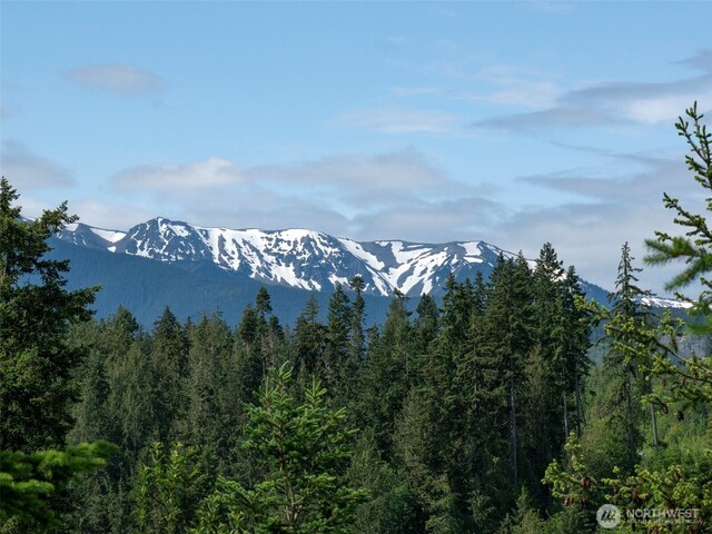 9999 Blue Mountain Rd, Port Angeles, WA 98362 - photo 8