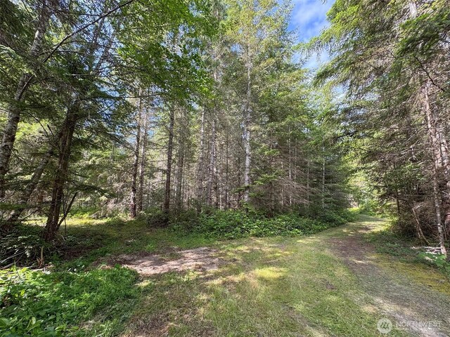 9999 Blue Mountain Rd, Port Angeles, WA 98362 - photo 10
