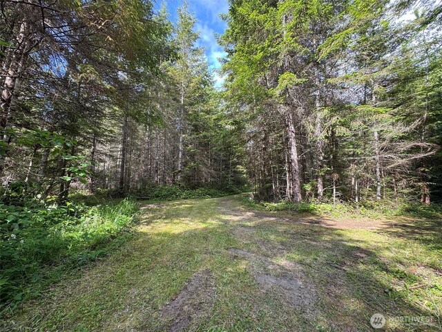 9999 Blue Mountain Rd, Port Angeles, WA 98362 - photo 11
