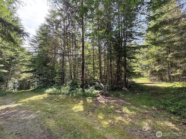 9999 Blue Mountain Rd, Port Angeles, WA 98362 - photo 12