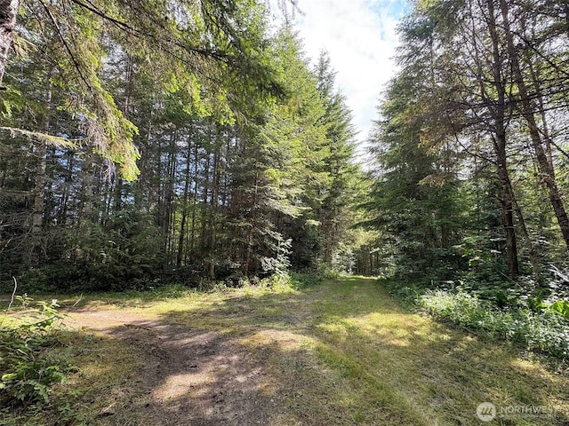 9999 Blue Mountain Rd, Port Angeles, WA 98362 - photo 13