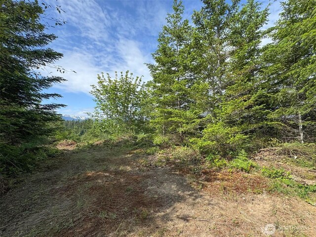 9999 Blue Mountain Rd, Port Angeles, WA 98362 - photo 14