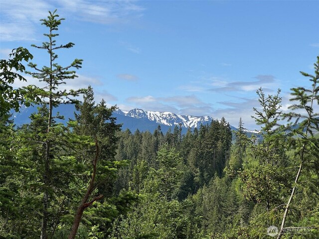 9999 Blue Mountain Rd, Port Angeles, WA 98362 - photo 15