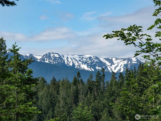 9999 Blue Mountain Rd, Port Angeles, WA 98362 - photo 16
