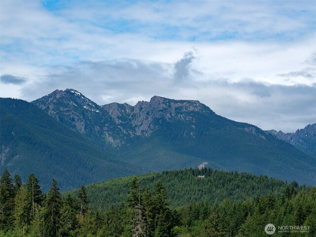 9999 Blue Mountain Rd, Port Angeles, WA 98362 - photo 17