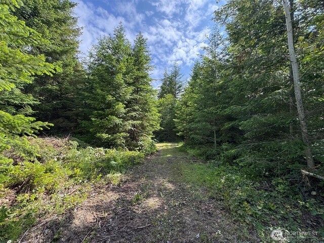 9999 Blue Mountain Rd, Port Angeles, WA 98362 - photo 18