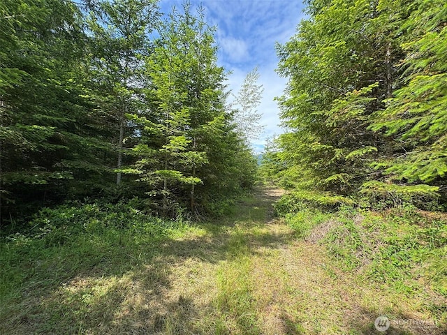 9999 Blue Mountain Rd, Port Angeles, WA 98362 - photo 19