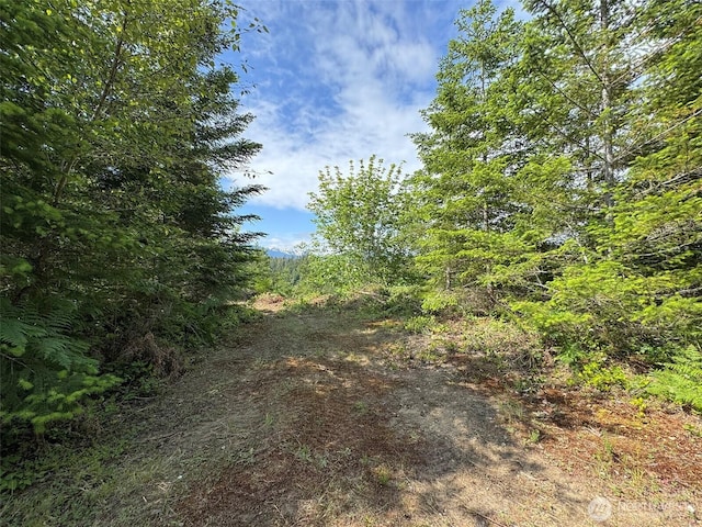 9999 Blue Mountain Rd, Port Angeles, WA 98362 - photo 20