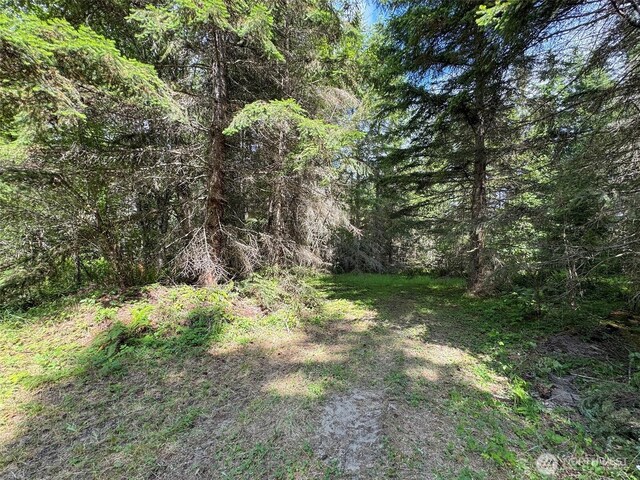9999 Blue Mountain Rd, Port Angeles, WA 98362 - photo 21