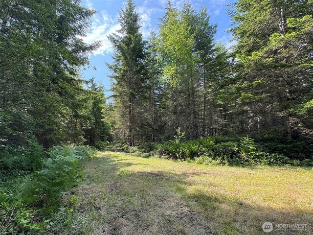 9999 Blue Mountain Rd, Port Angeles, WA 98362 - photo 22