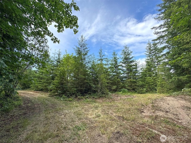 9999 Blue Mountain Rd, Port Angeles, WA 98362 - photo 23