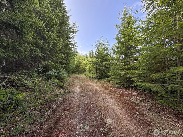 9999 Blue Mountain Rd, Port Angeles, WA 98362 - photo 24