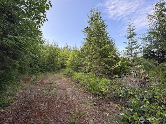 9999 Blue Mountain Rd, Port Angeles, WA 98362 - photo 25