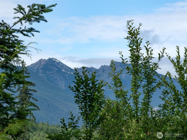 9999 Blue Mountain Rd, Port Angeles, WA 98362 - photo 26