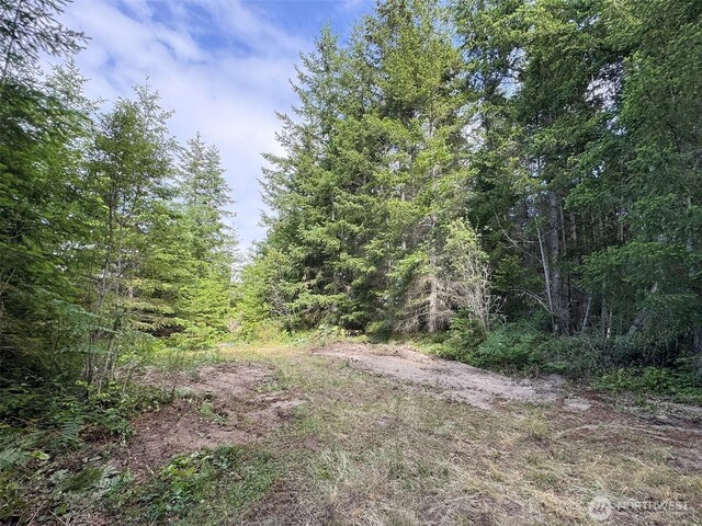 9999 Blue Mountain Rd, Port Angeles, WA 98362 - photo 27