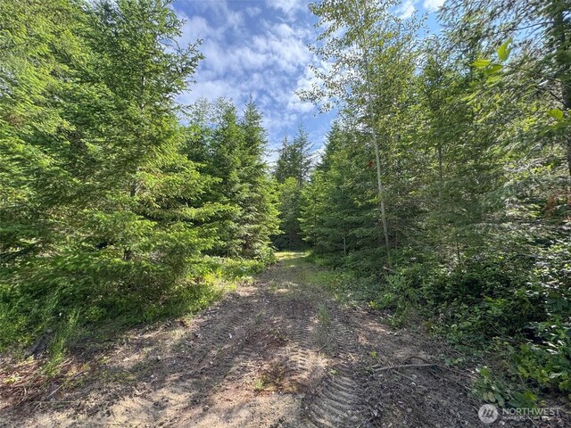 9999 Blue Mountain Rd, Port Angeles, WA 98362 - photo 29