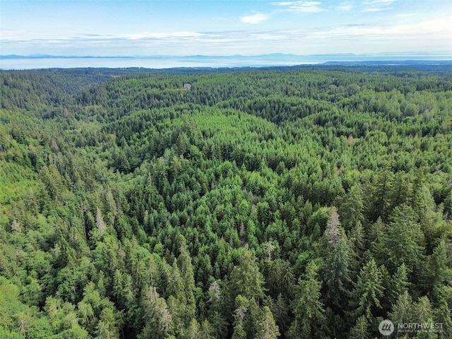 9999 Blue Mountain Rd, Port Angeles, WA 98362 - photo 30