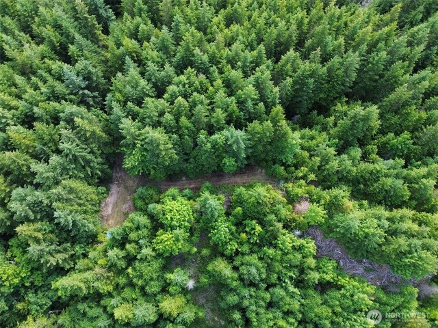 9999 Blue Mountain Rd, Port Angeles, WA 98362 - photo 31