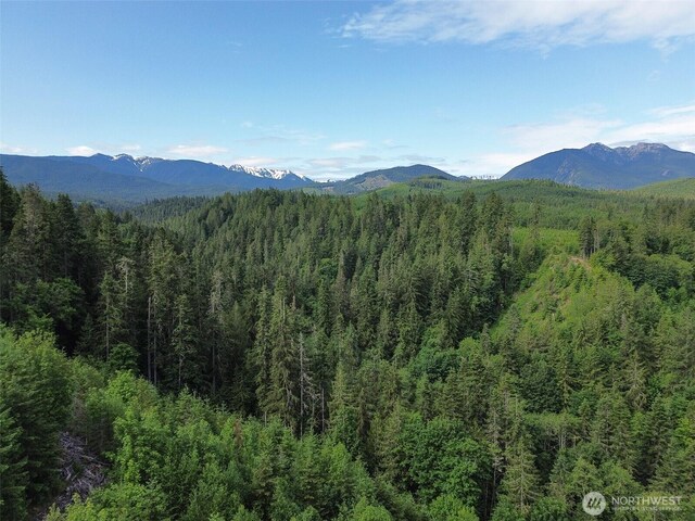 9999 Blue Mountain Rd, Port Angeles, WA 98362 - photo 33