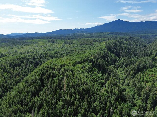 9999 Blue Mountain Rd, Port Angeles, WA 98362 - photo 34