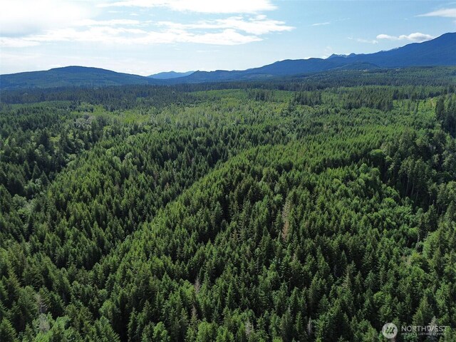 9999 Blue Mountain Rd, Port Angeles, WA 98362 - photo 35