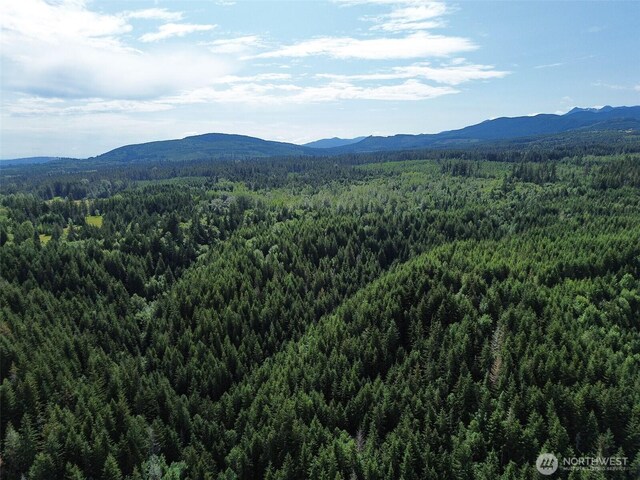 9999 Blue Mountain Rd, Port Angeles, WA 98362 - photo 36