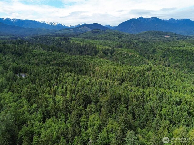 9999 Blue Mountain Rd, Port Angeles, WA 98362 - photo 37