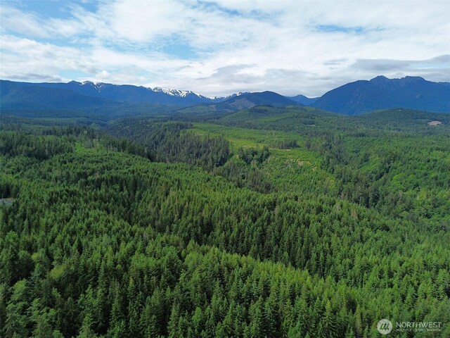 9999 Blue Mountain Rd, Port Angeles, WA 98362 - photo 38