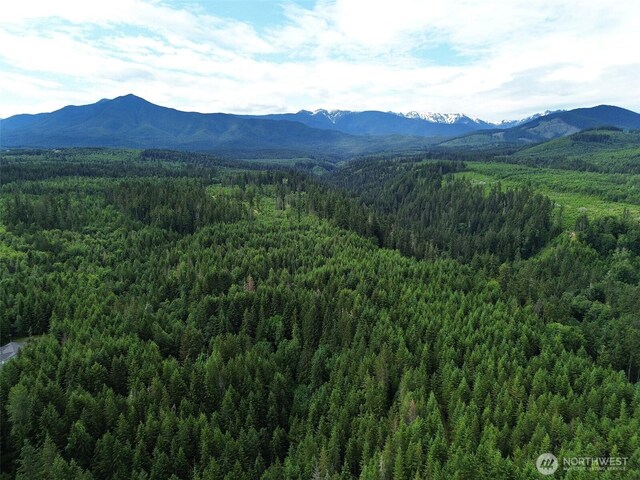 9999 Blue Mountain Rd, Port Angeles, WA 98362 - photo 39