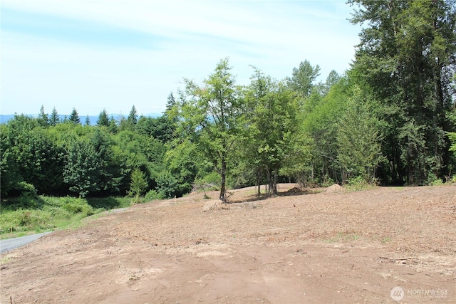 0 Carrolls Rd, Kelso, WA 98626