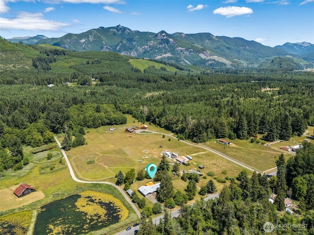 262 Falls Rd, Randle, WA 98377 - aerial view of property's location featuring a heavily wooded area and a mountain backdrop