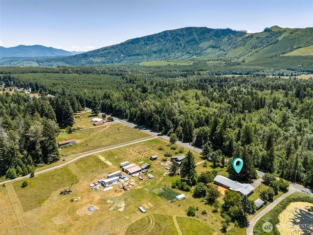 262 Falls Rd, Randle, WA 98377 - aerial view of a forest and a mountain backdrop