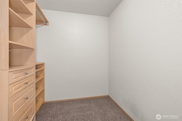 5411 Komachin Loop SE, Lacey, WA 98513 - walk in closet featuring carpet