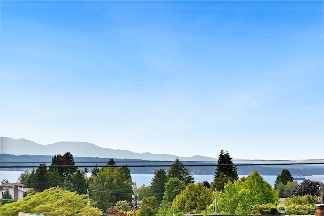 12238 9th Ave NW, Seattle, WA 98177 - water view with a mountain backdrop