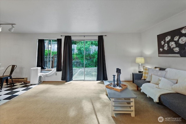 7634 Shilohwood Pl NW, Bremerton, WA 98311 - carpeted living area featuring track lighting