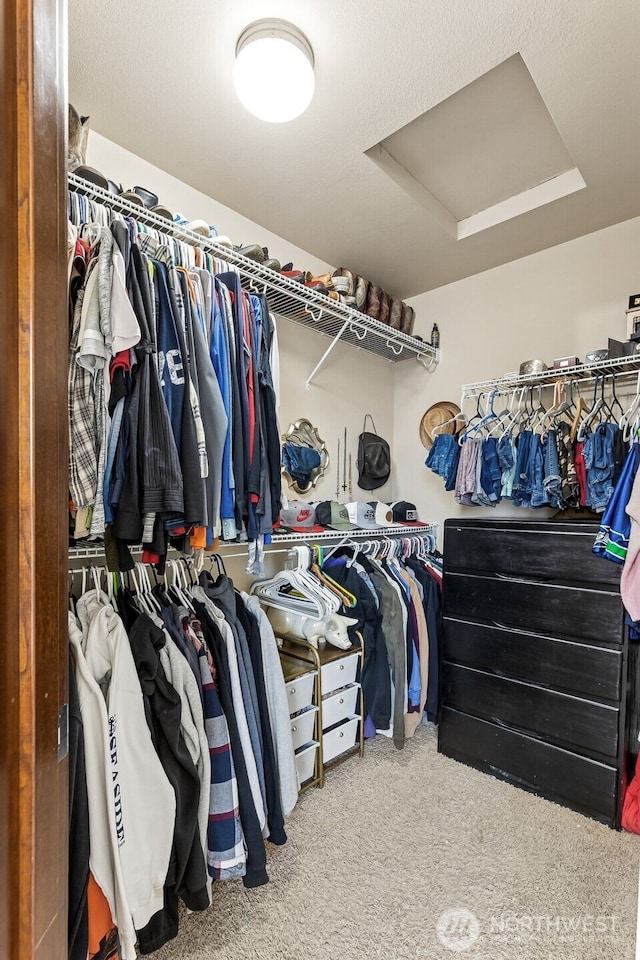 815 6th Ave SW, Olympia, WA 98512 - walk in closet with carpet floors