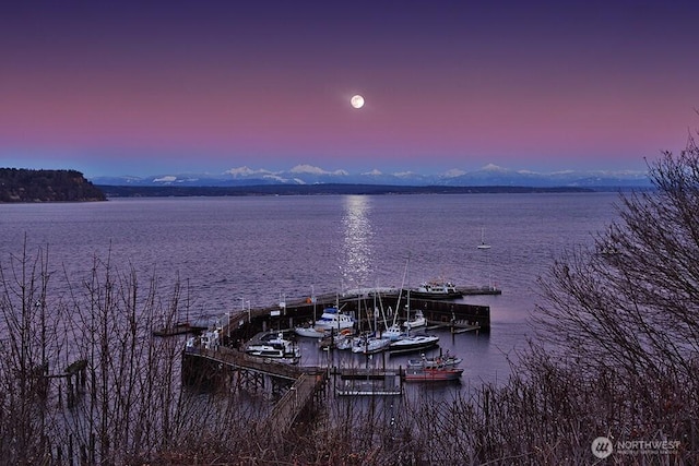 121 4th St, Langley, WA 98260 - dock with a water view