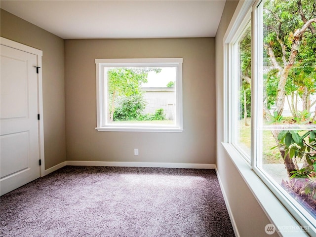 120 Phoenix St NE, Olympia, WA 98506 - photo 19