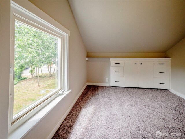 120 Phoenix St NE, Olympia, WA 98506 - photo 20