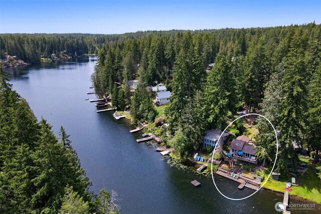 292 NE Lake Dr, Tahuya, WA 98588 - photo 6