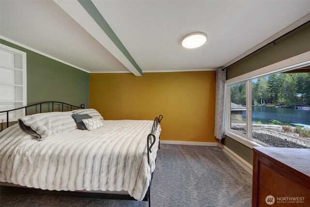 292 NE Lake Dr, Tahuya, WA 98588 - photo 22