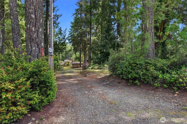 292 NE Lake Dr, Tahuya, WA 98588 - photo 39