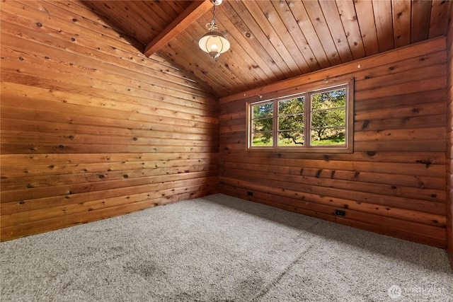 19834 State Route 20, Twisp, WA 98856 - carpeted empty room with a sauna, wood ceiling, and wood walls