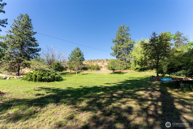 19834 State Route 20, Twisp, WA 98856 - view of grassy yard