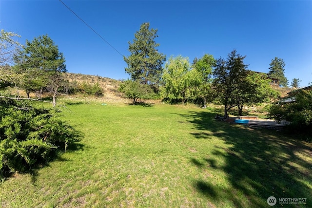 19834 State Route 20, Twisp, WA 98856 - view of green lawn