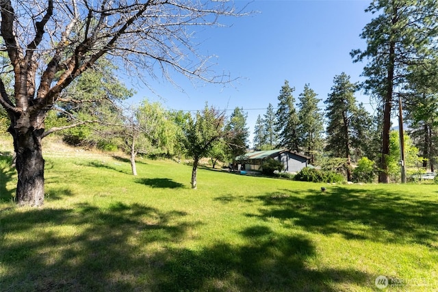 19834 State Route 20, Twisp, WA 98856 - view of green lawn